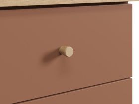 Письменный стол Стэйс 120x60 Терракотовый