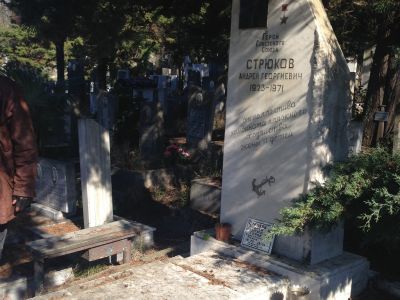 Могила А.Г. Стрюкова (1923 - 1971), Героя Советского Союза