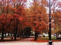 Парк культуры и отдыха имени 30-летия Побед