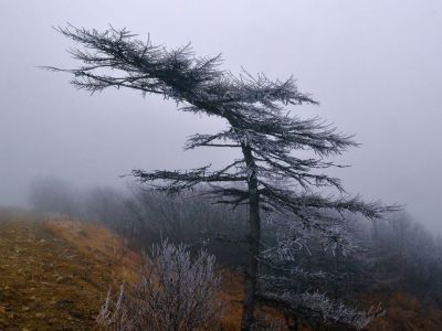 Усиление ветра 7 мая