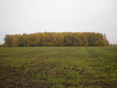 Священная роща