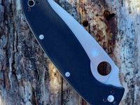 Складной нож Spyderco Resilience™, сталь 8Cr13MOV, рукоять G-10, чёрный