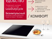 Индукционная панель Hansa BHI67116