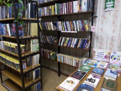 Половинская библиотека № 17