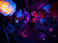 Креативно-выставочное пространство Magic Park