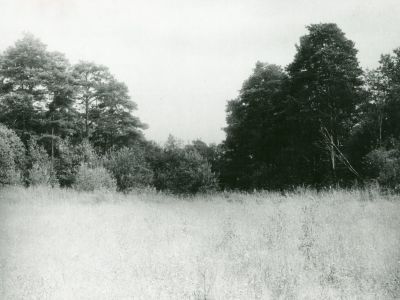 Усадьба "Жары", в которой жил и умер историк, этнограф, краевед М.Я. Диев