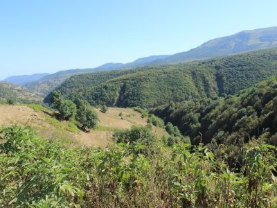 Водяная мельница - ("Мельница Шамиля")