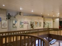 Музейные ряды