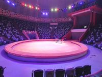 Казанский государственный цирк