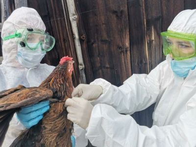В Чульмане прошли межрегиональные учения по ликвидации гриппа птиц