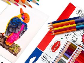 Набор карандашей цветные двусторонние ACMELIAE 6 шт/12 цв. Трехгранные, в картонном футляре