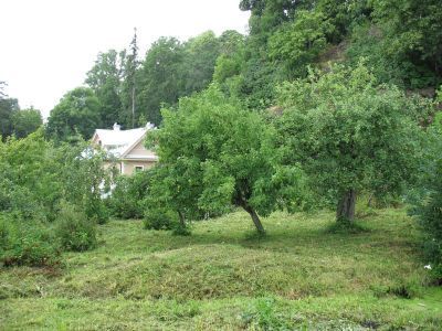 Фруктовый сад с огородами и водоемом между пристанью и каменным арочным мостом