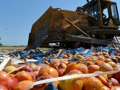 В России могут запретить уничтожение санкционных продуктов