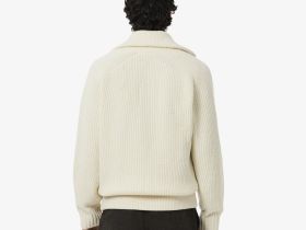 Мужской кардиган Lacoste с высоким воротом на молнии