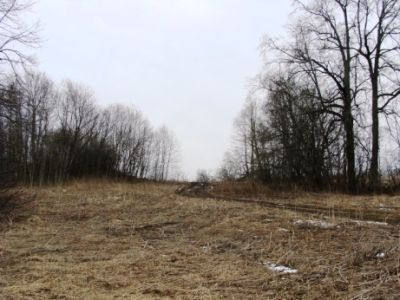 Парк в урочище «Захолмье» («Наволок»)