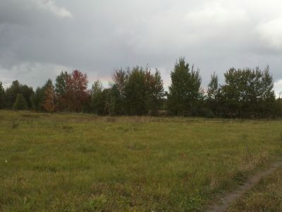Священная роща