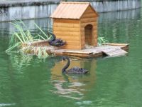 Центральный парк культуры и отдыха «Лопатинский сад» города Смоленска