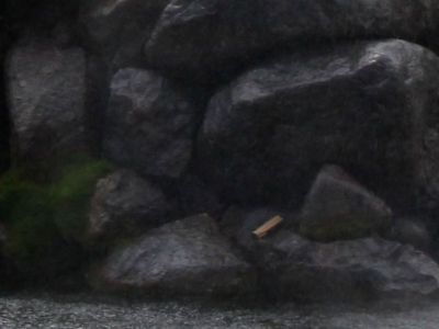 Фонтанные фигуры "Лев" (четыре)