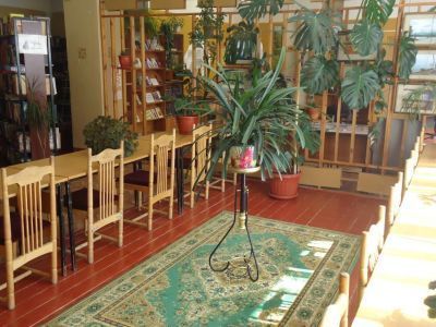 Мошковская сельская библиотека