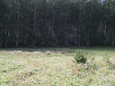 Тулое долон убгэдэ тайлаган