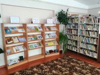 Библиотека села Чунаки
