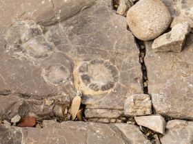 Водопады и ледяные пещеры скал Еланка Куччугуй Кэтэмэ - скалы Еланки - п. Еланка