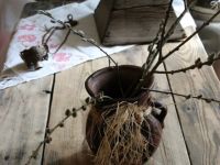 Историко-краеведческий музей им. А. В. Юшкина