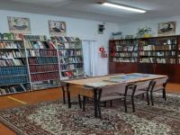 Библиотека-филиал № 3 с. Грушевое