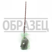 Яблоня колонновидная Джин (подвой 54-118 полукарл) (в сетке)