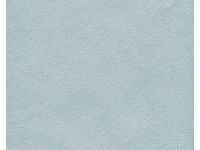 Папка для акварели Лилия Холдинг "Алисия" А2 10 л 200 г, 5 цв