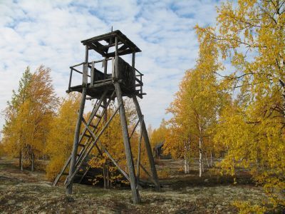 Лагпункт 501-й стройки № 76 у разъезда «Глухариный»