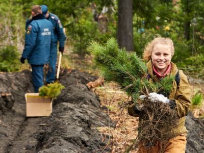 Вторая жизнь Кремлевской елки