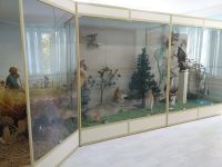 Муниципальное учреждение «Районный краеведческий музей»