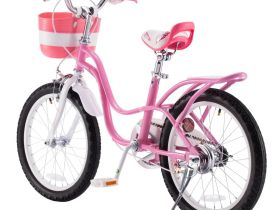 Детский велосипед Royal Baby Little Swan 18, год 2022, цвет Розовый