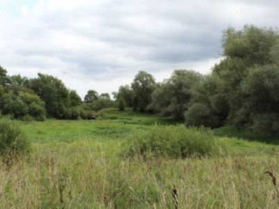 Парк Окатовский пейзажной планировки