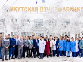 Более 109 млн яиц произвели в Якутии за девять месяцев