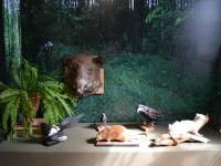 Музей стекла «Черный лебедь»