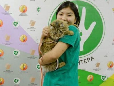 Волонтеры показали таланты питомцев и открыли академию