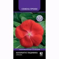 Катарантус Пацифика Оранж (Семена Профи)