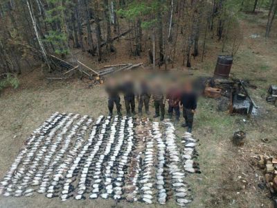 В Якутии против добывших краснокнижных уток охотников завели уголовные дела
