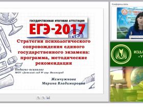 Стратегии психологического сопровождения единого государственного экзамена: программа, методические рекомендации