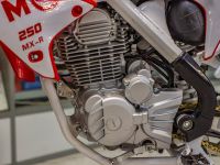 Мотоцикл кроссовый эндуро MOTAX MXR250