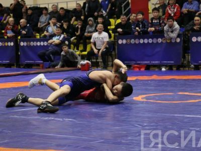 Первенство Якутии по вольной борьбе соберёт более 370 спортсменов