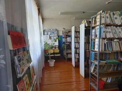 Каменская сельская библиотека