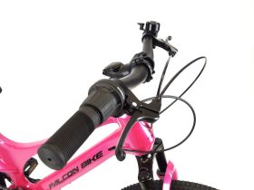 Детский велосипед Falcon Bike Mild 20, год 2024, цвет Красный