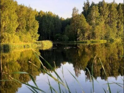 Люблю тебя, моя Россия! Программа