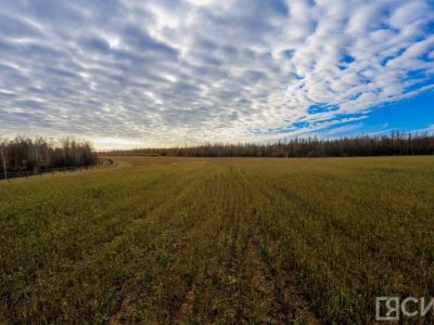 В Минимущества Якутии рассказали, кому положен бесплатный земельный участок