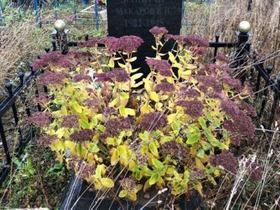 Могила капитана Макарова К.Н.