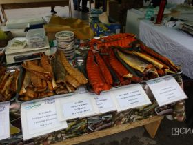 Молочная продукция, мясо и овощи: обзор цен на ярмарке «Продовольствие-2025» в Якутске