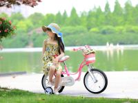 Детский велосипед Royal Baby Little Swan 16, год 2022, цвет Розовый